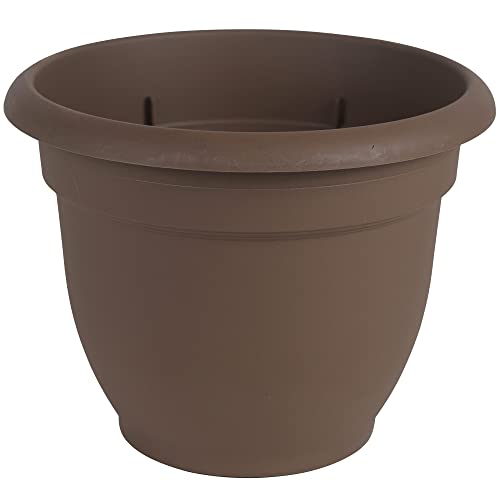 Bloem Ariana Self Watering Planter: 16" - Chocolate - Durable Resin Pot, for Indoor and Outdoor Use, Self Watering Disk Included, Gardening, 6 Gallon Capacity -  20-56316CH