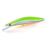 ジャクソン(Jackson) ピンテールチューン+170SVG GCGギラギラCH