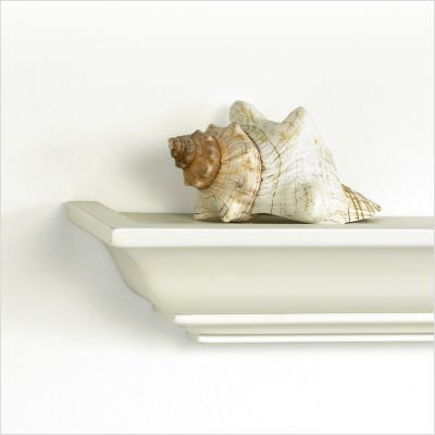 kathy ireland by LH Licensed Products Brooke Field Mantle Ledge Shelf in White