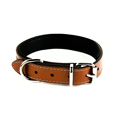 ARYSTAN Genuine Leather Padded Dog Collar - Adjustable Waterproof Dog Collar with Soft Padding (Small, Tan)