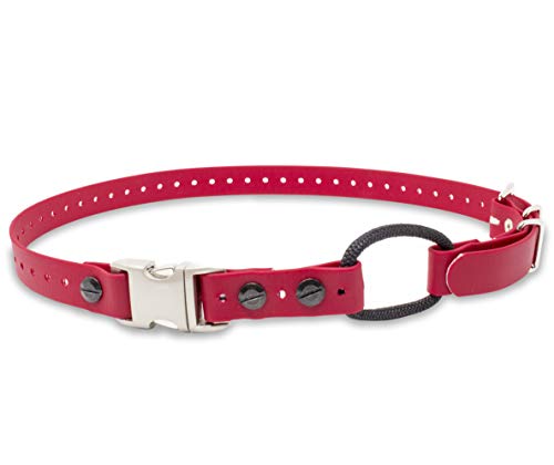 mini educator bungee collar