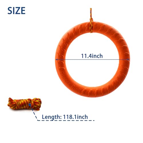 Brinquedo de balanço de galinha, brinquedo de plástico para pendurar 29 cm, acessórios para galinhas