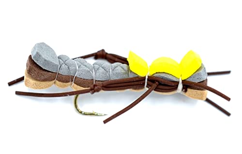 The Fly Fishing Place Trout Fly Assortment - High Visibility Foam Body Grasshopper Dry Fly Collection 12 Flies - Hook Size 10