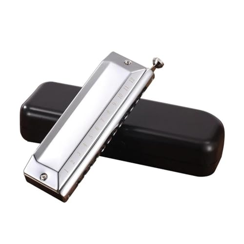 S Nn[jJ 12n[jJ P[Xt SҌ w yMtgɍœK ōi