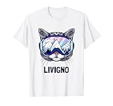Livigno Winter City Alpine Ski Cat