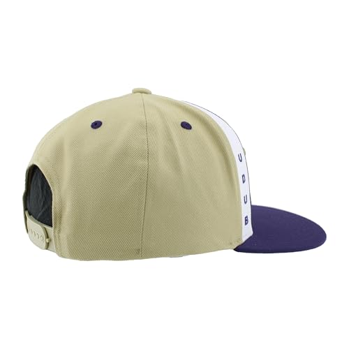 Gorra ajustable snapback NCAA licenciada oficial miniatura 7