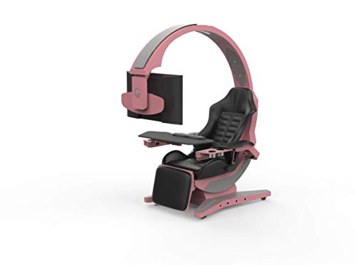 INGREM Ergonomic Gaming Computer Chair Game Cockpit Gaming Equipment All-in-one Computer Seat E-Sports Space Capsule Zero Gravity Office Chair Coding Pod 1.0 (Pink)