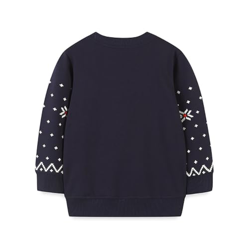 Boys Sweatshirts Casual Sweatshirts Cotton Sweatshirts Long Sleeve T-shirts Crew Neck Cartoon Tops for Boys-3442