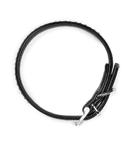 Hundehalsband aus Echt-Leder mit Strasssteinen/Kristall besetzt – funkelndes Hunde und Katzen Halsband aus gepolsterten und doppellagigen Büffelleder - Lederhalsband Audrey (M (24.5-32.5cm), Schwarz)