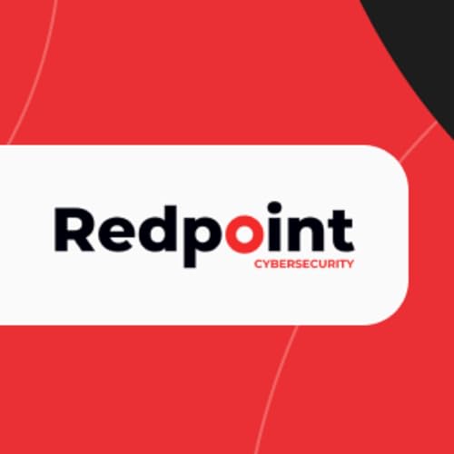 Repoint Pr Redpoint Audio Insights : Redpoint Cyber: Amazon.in: Audible Books ...