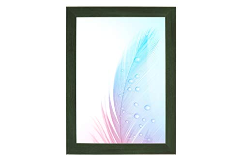 DR24 45x100 Bilderrahmen (Grün gewischt) nach Maß, 35 mm breiter MDF Holzrahmen inkl. entspiegelter Anti-Reflex Kunstglasscheibe, Stabiler Rückwand, Biegestiften und Aufhängern Cover