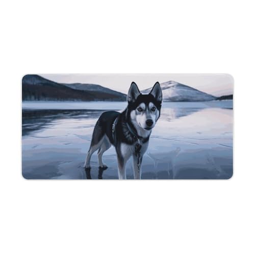 Protector de Escritorio Grande Dog on A Frozen Lake