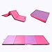 Polar Aurora 4'x6'x2 Lightweight Gymnastics Folding Mat Fitness Aerobics Exercise Yoga Tumbling Mat with Carrying Handles Colors (Pink & Purple)