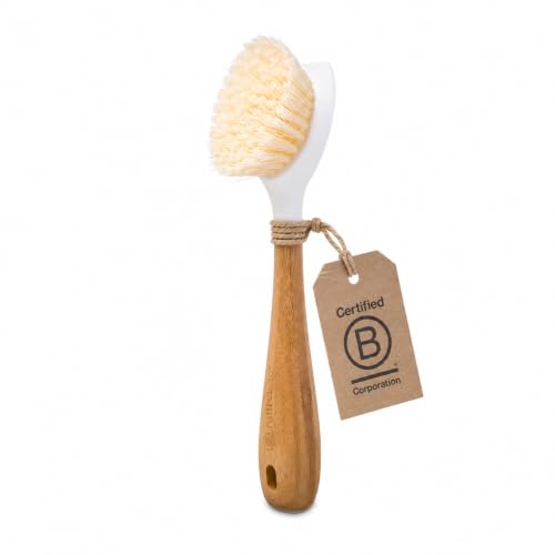 Full Circle Daily Dish Brush