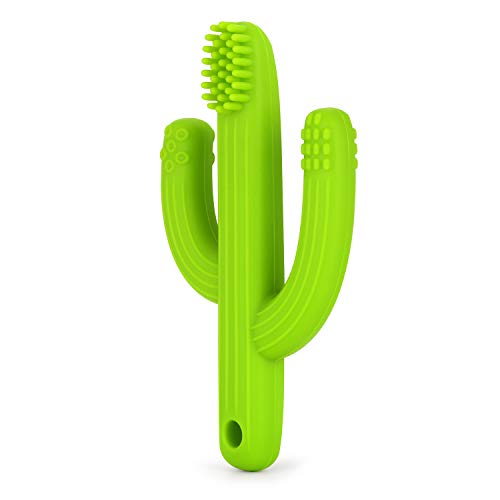PandaEar Baby Training Massaging Cactus Toy Teether Toothbrush | Soothes Gums Promotes Healthy Oral Development | Food Grade Soft Safe BPA-Free Silicone | Babies Toddlers Infants |0-24 Months Green