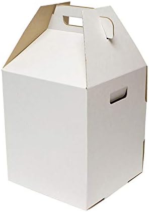 SpecialT | Disposable Cake Carrier Tall Cake Caddy 2 or 3 Layer Cake Carrier - 12 Inch Tall 10x10 Cake Box 10-Pack