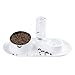 Dual Cat Bowl - Multi-Functional 2 in 1 Tilted and Detachable Stainless Steel Pet Food and Water Bowl Set, Ideal for Cats and Dogs(White)