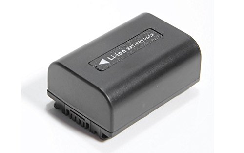 Amazon.com: Globalsaving Battery for Sony handycam Camcorder HDR