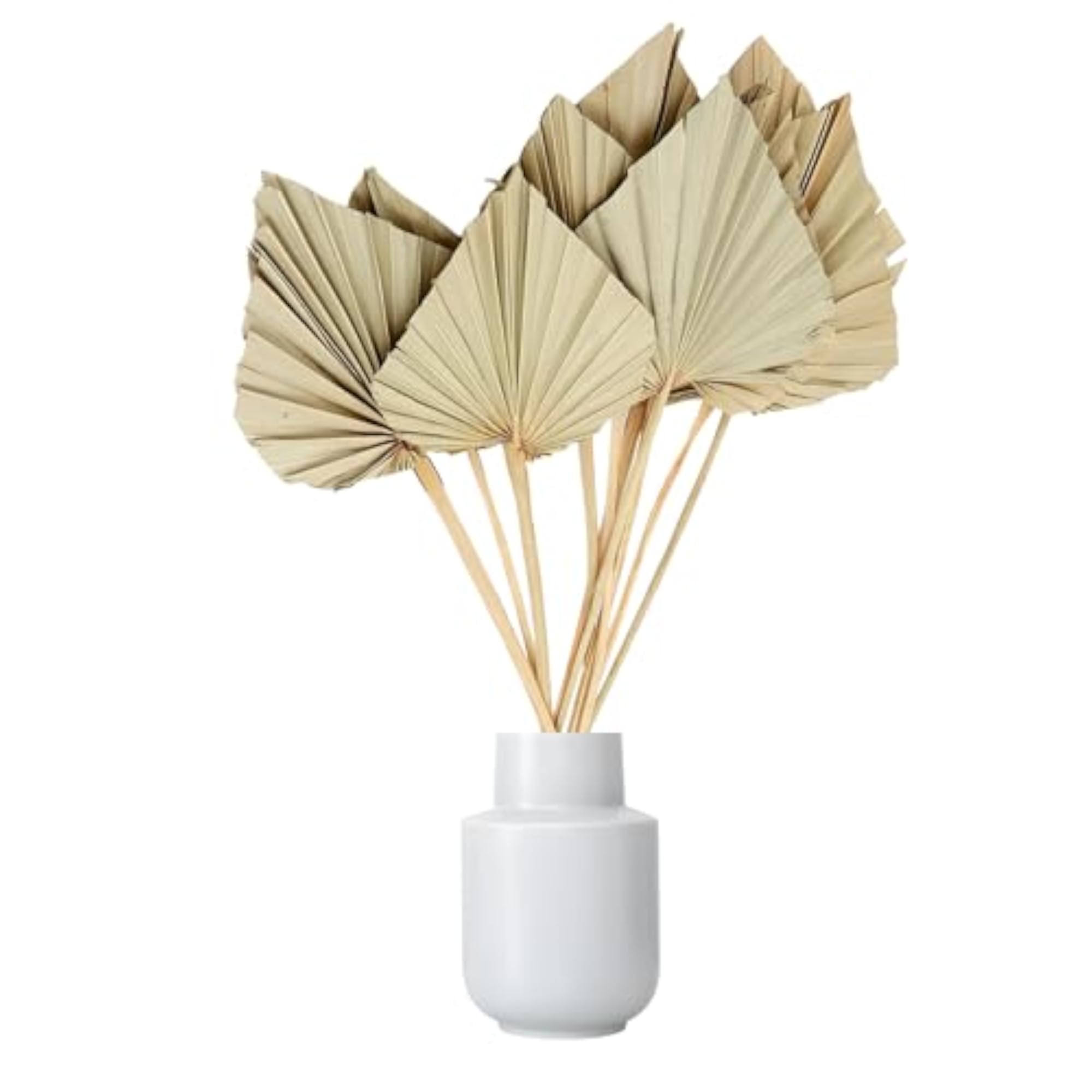 Dried Palm Leaves Spear with Stem for Boho Decor