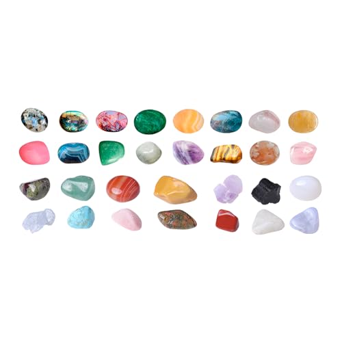 [Rjktmox] AhxgJ_[ 2025 VR 24ԃTvCY qp Δ@Lbg ANZT[t eq̌wK v[g 炨 ȖX^C