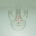 Proglass Straight 4 Necks Round Bottom Flask 250mL,Center 24/40,Others 19/22