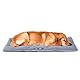 Ferplast Hundematte Groß - Waschbares Hundebett - Hundekissen - Wasserdicht & Kratzfest - Matte für Hundehütten und Auto, Hundekorb - Jolly - 98 x 65 cm, L, GRAU