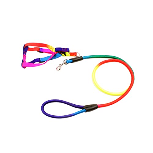 Correas Perros Extensibles Marca ibasenice