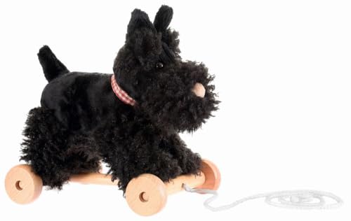 Egmont Toys Walter 591025 Jeu d'entraînement en Bois et Peluche pour Filles à partir de 12 Mois, Multicolore