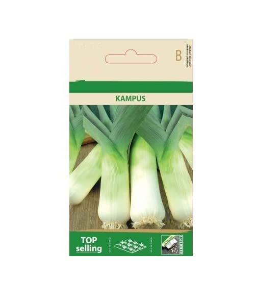 VibeX Leek KAMPUS Seeds-500 Seeds (B0B9Y3H4W8) Amazon Price History, Amazon Price Tracker