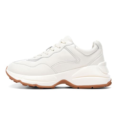 [BGsdTH] Xj[J[ Y fB[X jOV[Y WjA ʋC AEghA K y NbV X|[c WMO EH[LO JWA C  ^C ʋ ʊw  i jp (x[W, l, 24