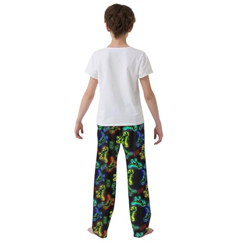 Colorful Dinosaur Roar Boys Long Pants Soft Trousers Elastic Waist Kids Lounge Bottoms with Pockets S-XL3