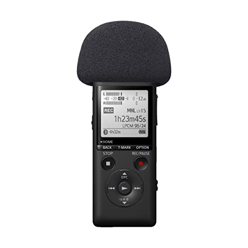 Sony Pcm, 2 Portable Studio Recorder, One Size (Pcm-A10) #TOP7