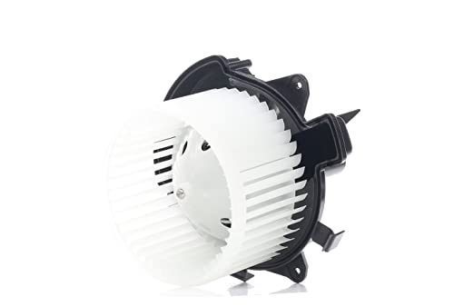 RIDEX Ventilador habitáculo 2669I0293 12V compatible con FIAT BRAVO II 198 STILO 192 STILO Multi Wagon 192, LANCIA DELTA III 844