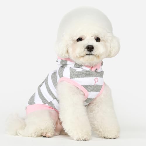 Puppia 2024 SS Apparel Melange Grey_HOOCH  S TCY