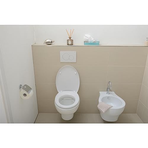 Geberit 115770115 Betätigungsplatte Sigma01, Kunststoff für 2-Mengen-Spülung 1 Stück