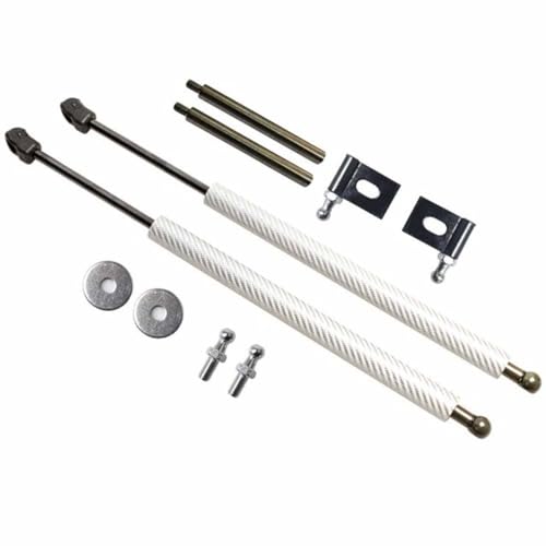 Vérin de coffre en carbone 7.76" pour VW Beetle 2003-2010 amortisseur