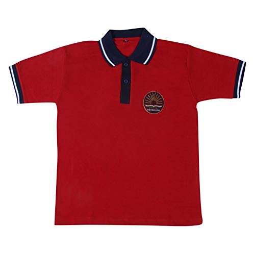 Image of PROLIFE KENDRIYA VIDHYALAYA (KV) School House Tshirts
