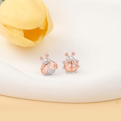 Cute Ladybug Earrings for Women - 925 Sterling Silver Ladybug Earrings Studs CZ Rose Gold-plated Insect Studs Hypoallergenic Jewelry Gifts2