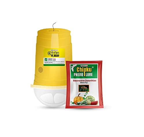 Image of Chipku ECO Trap /IPM Trap /Glass Trap /Melon Fly Trap- Useful for Melon cucurbitae Bottle Guard All Vegetable -100 Pieces