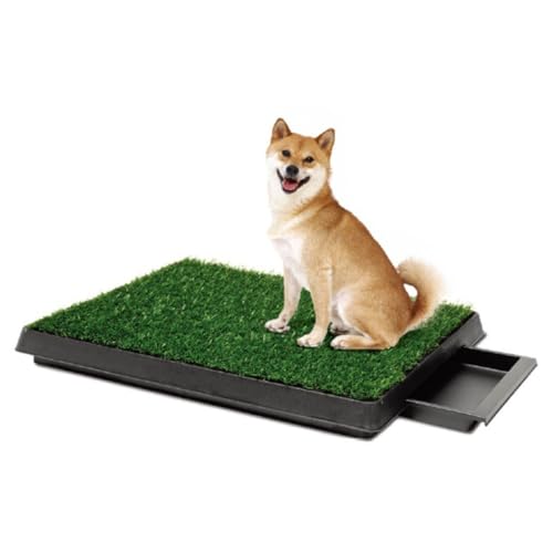 Auybuig ybggC lH ogCt RۉH ό ybgpi pgC PP/PE 64×51cm gCg[jO Ogp oRj[ ybgze 