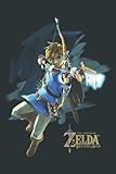  Legend Of Zelda Breath Of The Wild Link Archer Jump Shot C1: Heart Journal Notebook 6x9 inch 100pages
