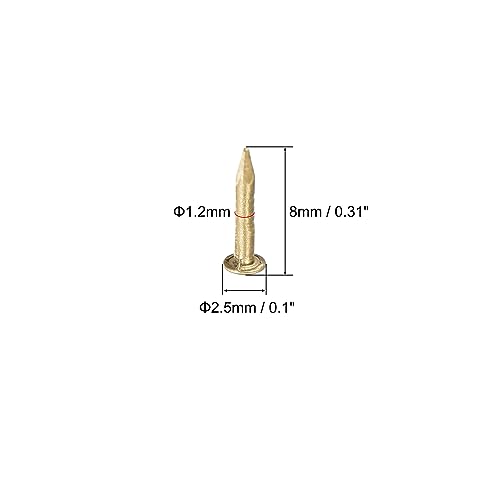QUARKZMAN Kleine winzige Messingnägel 1,2x8mm für DIY Dekorative Bilder Holzkisten Haushaltszubehör 80 Stück