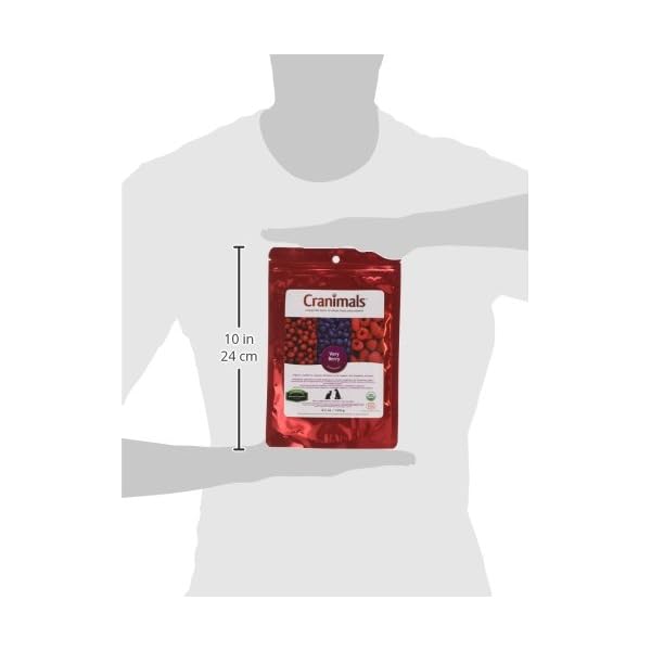 Cranimals Very Berry Antioxidant Superfood Berry Powder for Dogs and Cats - Natural Antioxidant Boost from Cranberries, Raspberries, and Blueberries, 120 g/ 4.2 Oz Bag