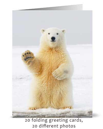 20 Blank Greeting Cards With Nature And Natural Themed Photos With Envelopes! (Wonderful Animals) #TOP1