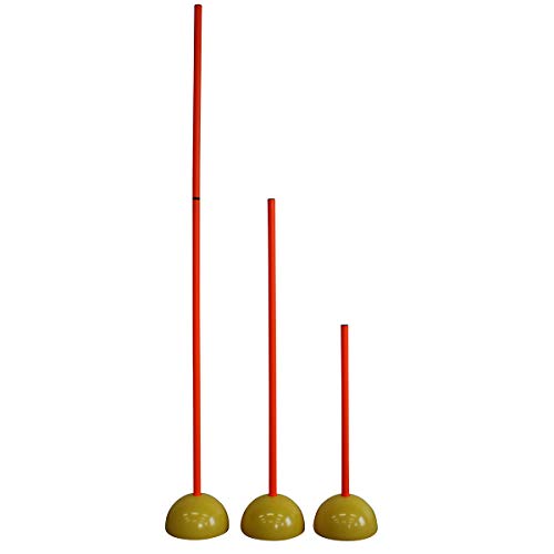 Fungoal g[jO|[160cm |[ƃx[Xe12̃Zbg [obOt X[ TbJ[ Kp