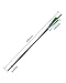 TOPARCHERY 12pcs Crossbow Arrows Crossbow Bolts 20 inch Hunting Archery Crossbow Carbon Arrows with 4 inch Vanes and Replaced Arrowhead/Tip (A Green White 20'')