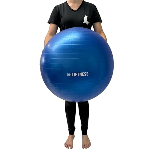 Bola de Ginástica Pilates Fisioterapia Pélvica 65cm Azul Liftness Dafoca Sports