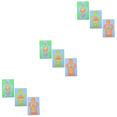 ibasenice - ibasenice 9 Pièces Sciences De L'éducation pour Les Enfants Puzzle D'organes Humains Jeu De Torse De Personnes Modèle D'affichage D'anatomie Mannequins Tout-Petit Dissecteur Eva Corps Humain