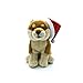 WJCRYPD 24 Cm Jaune Shiba Inu Peluche Peluche avec Hotte Rouge Noir Noir Noir Chiot Chiot Peluche Peluche Peluche Toy Cadeau Poupée Peluche Qf Shop (Color : Yellow Shiba Inu A, Height : 24cm)
