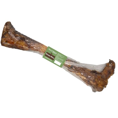 Pure & Natural Roasted Venison Dog Bone - Deer Legs for Dogs Natural & Long Lasting Dog Chew Bones for Large Dogs and Aggressive Chewers - Pack of 1